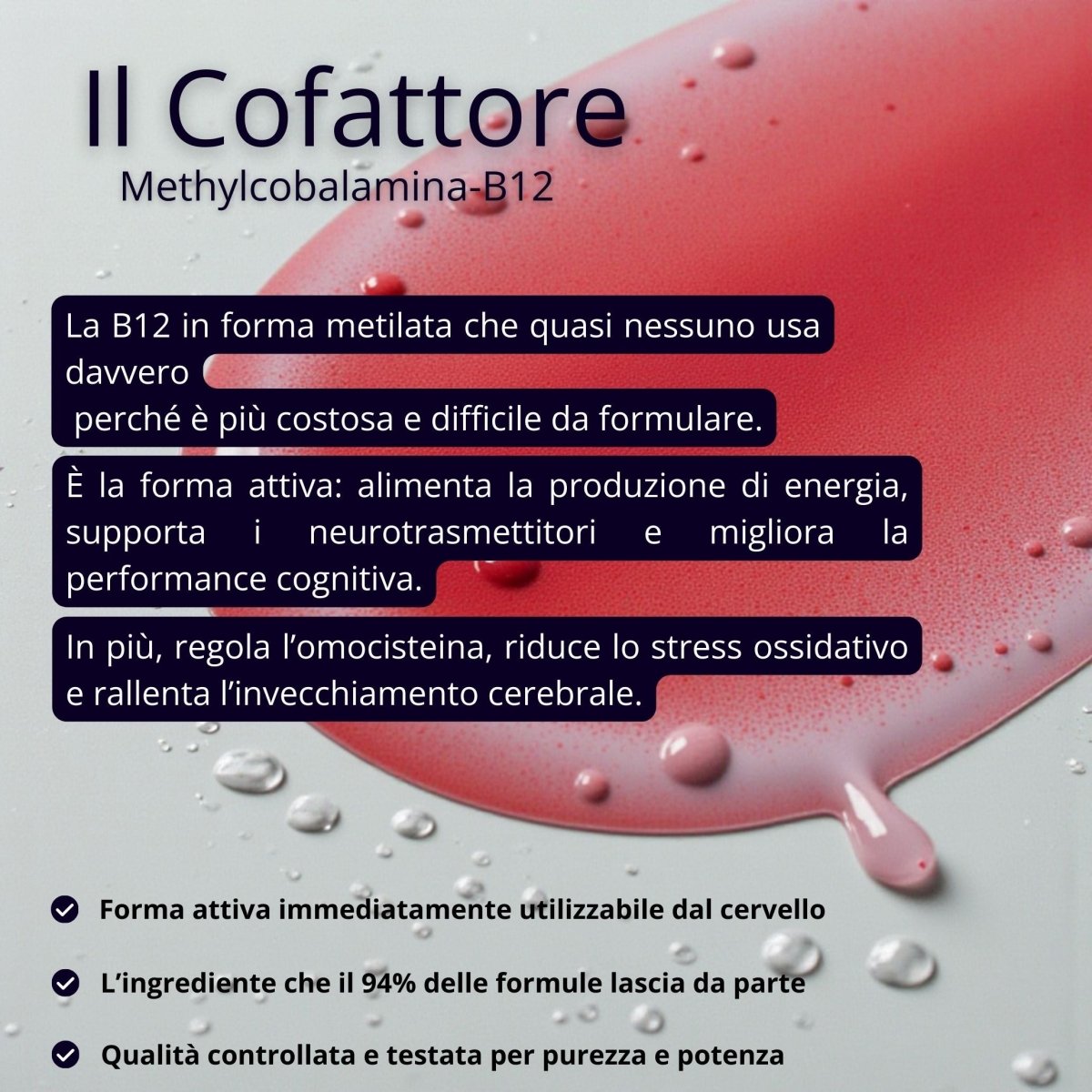 Brain™ L - metilfolato+B12 - BrainX