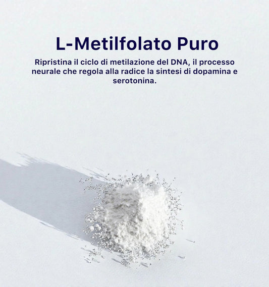 Brain™ L - metilfolato+B12 - BrainX