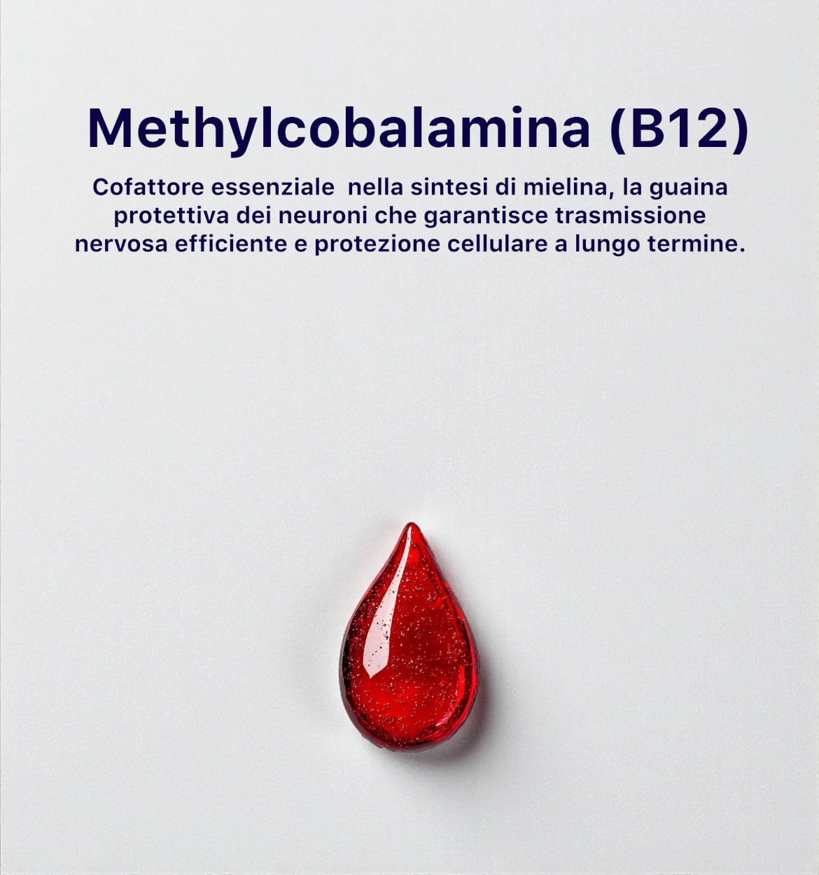 Brain™ L - metilfolato+B12 - BrainX