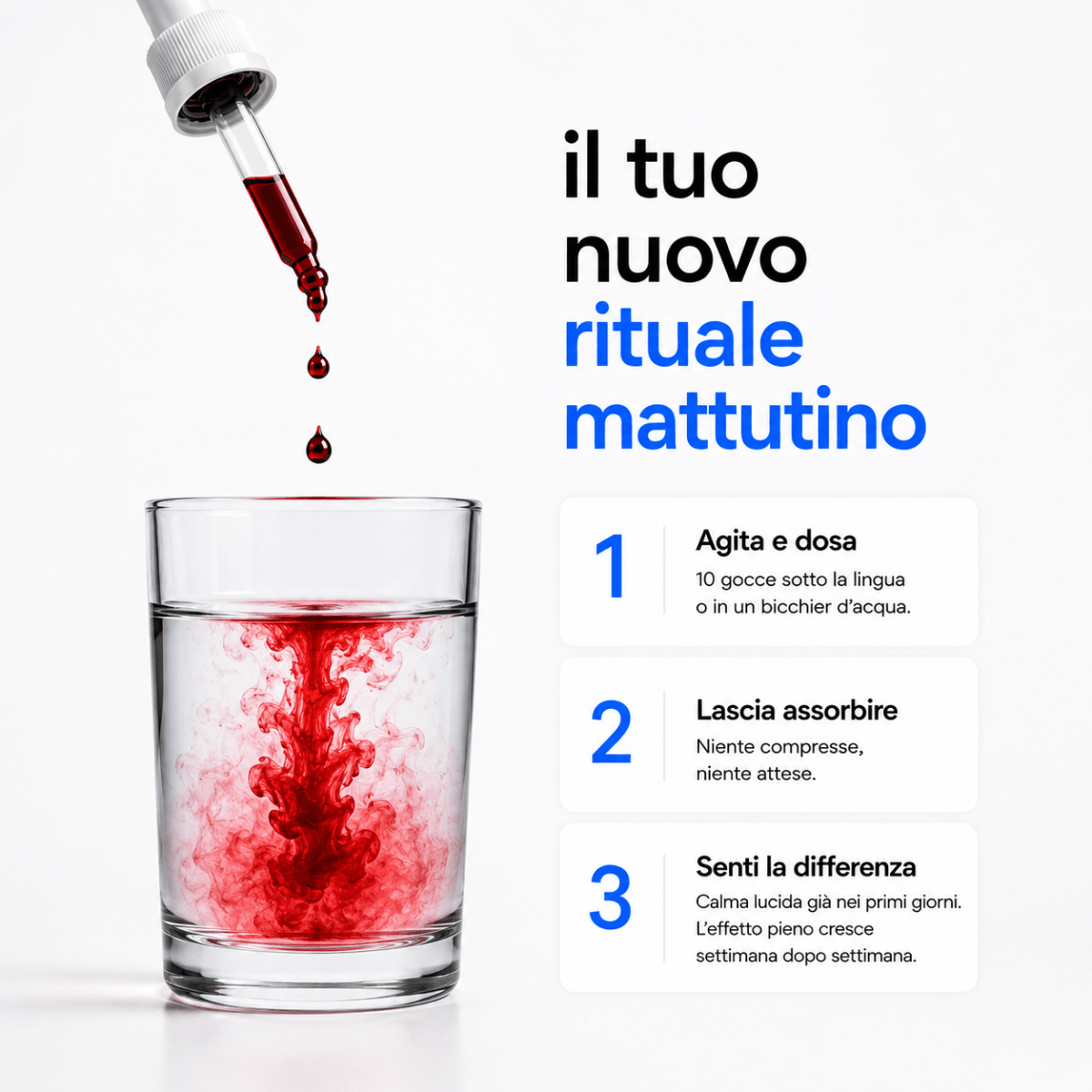 BrainX™ L-metilfolato+B12 - BrainX